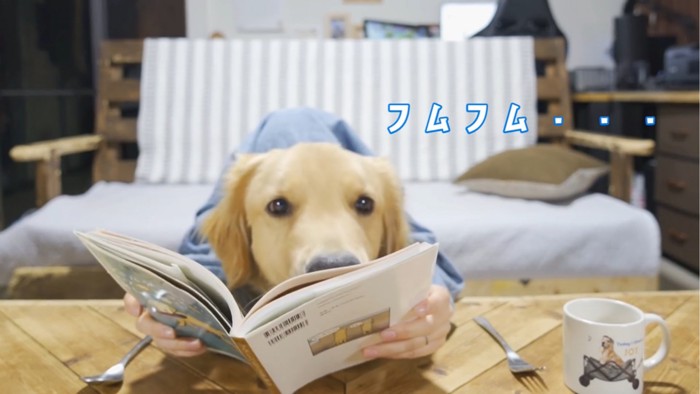 本を見る犬