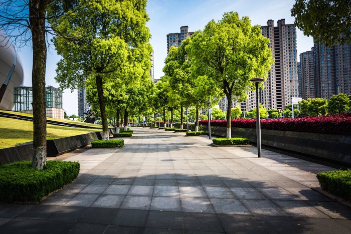 街路樹のある都市景観