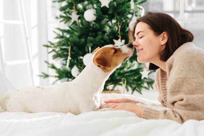 女性と鼻キスをしている犬