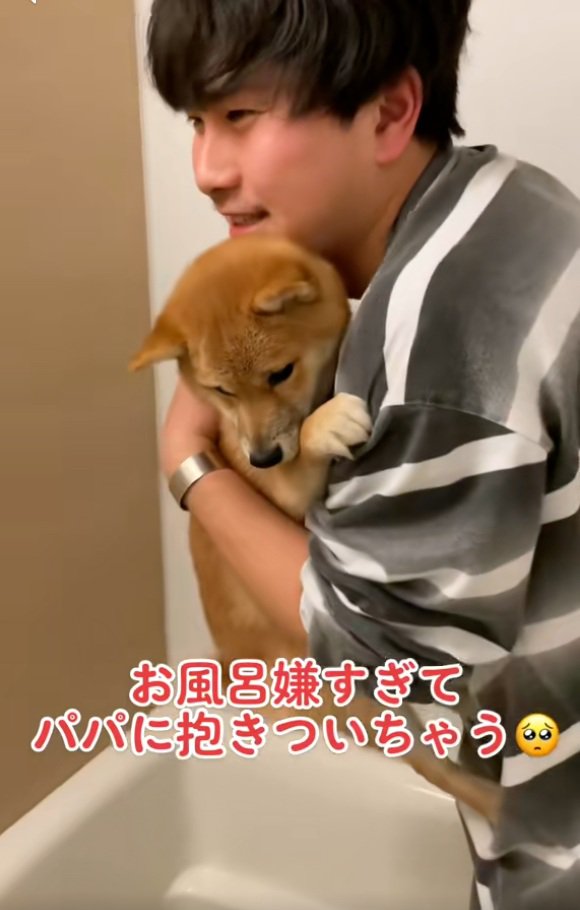 お風呂がコワイまろ君