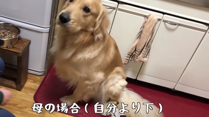 ママには目も合わさずに…