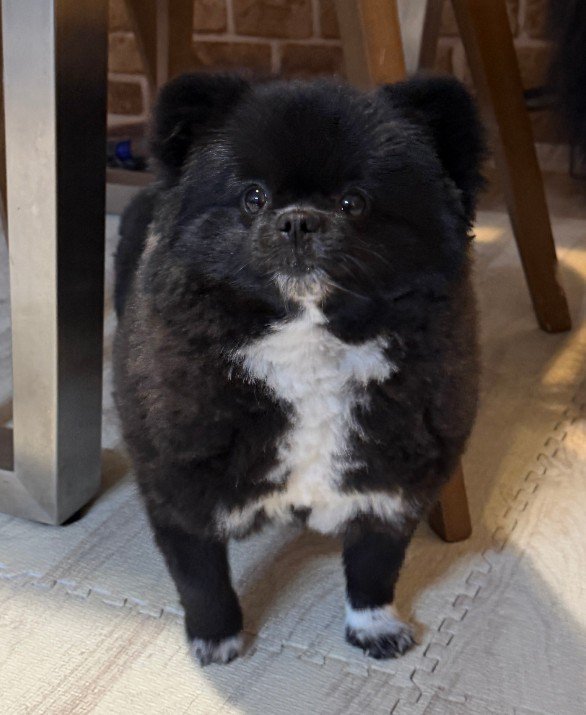 「海苔が破れたキンパ」