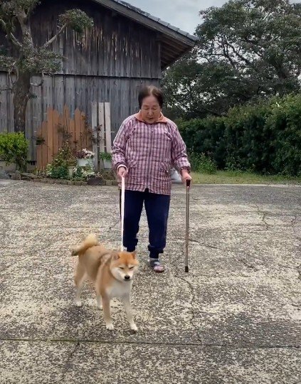 歩調を合わせて歩いてる!!