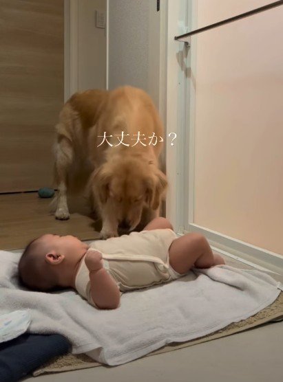 お守りなんてできるかな?