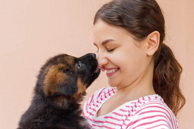 飼い主の口元を舐めている犬