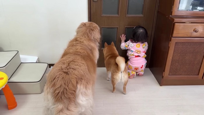 3人並んで見守る