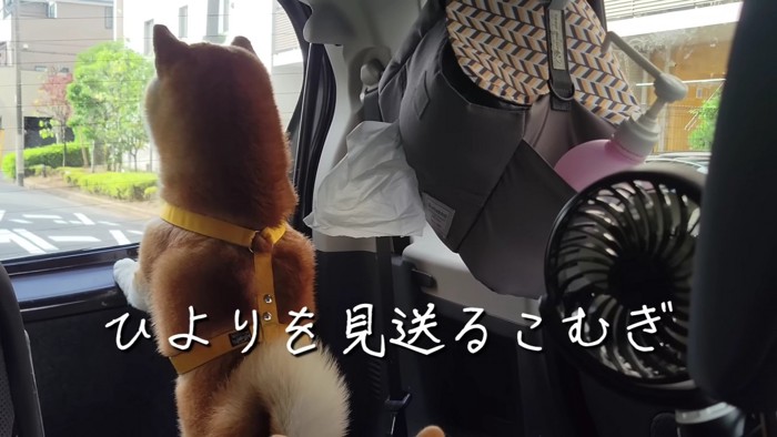 ひよりちゃんはどうしたの？