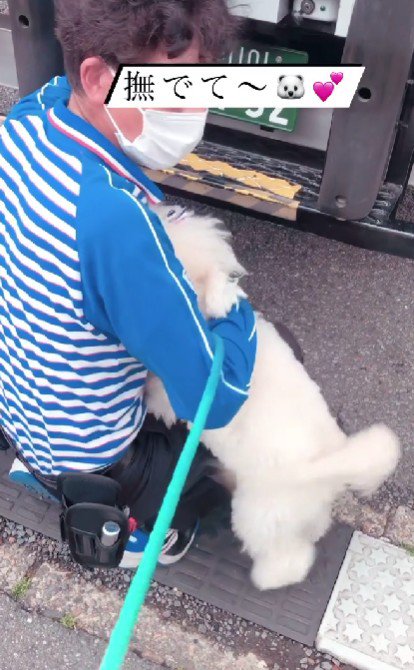 尻尾を振って大喜び