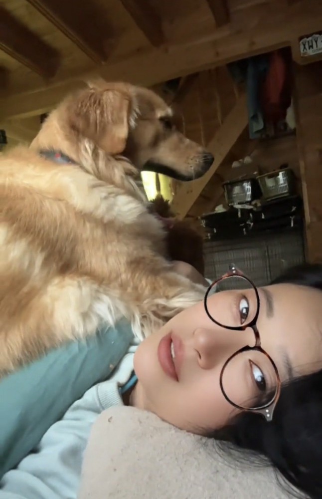 女性の上に座る犬