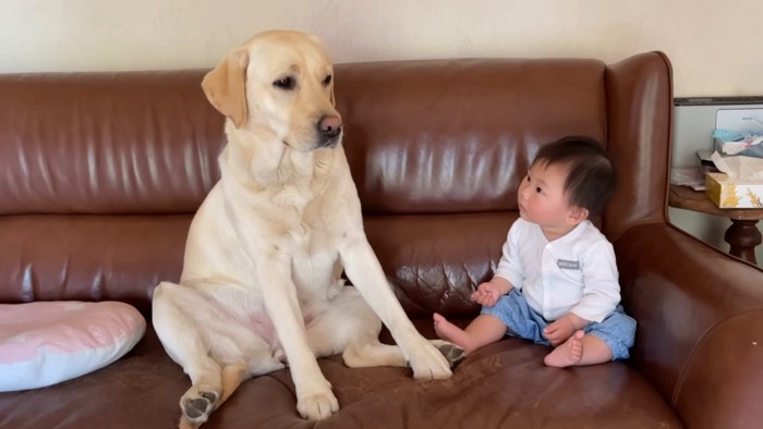 「え…めっちゃ見られとるやん…」