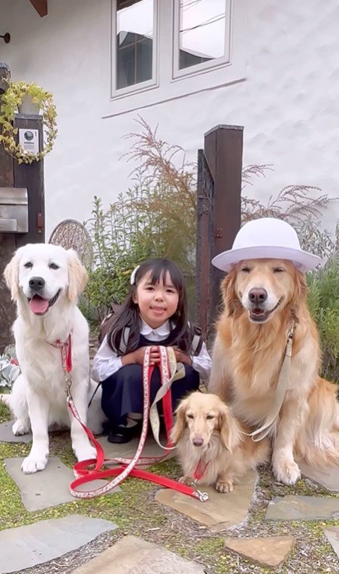 女の子とワンコたちの6年間8