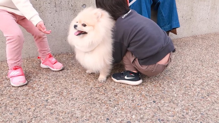 モチちゃんと子どもたち5