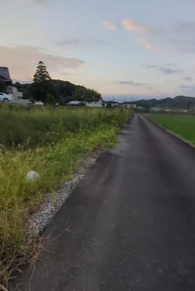 田んぼ沿いの農道へ