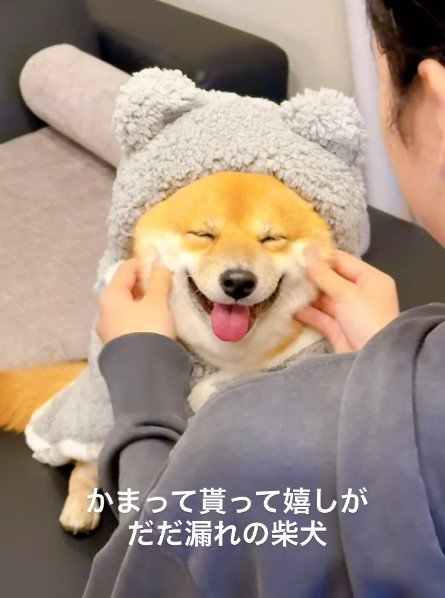 ナデナデされるとニッコリ♡