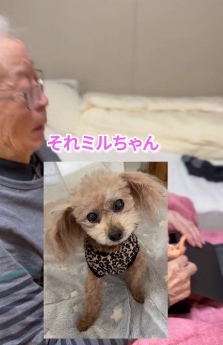 プレゼントの中身は…