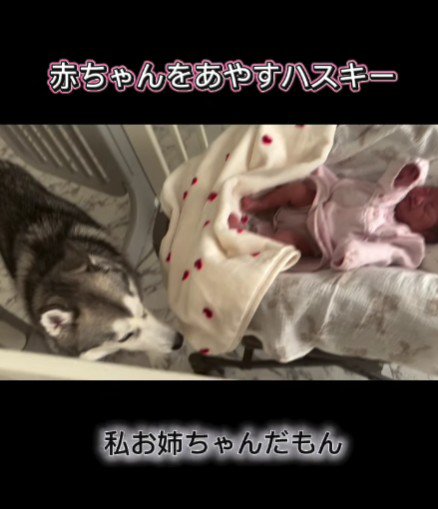 「とりあえずやってみよう」