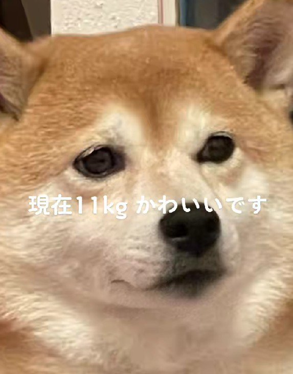哀愁漂う表情