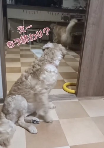 「つまんないっ」