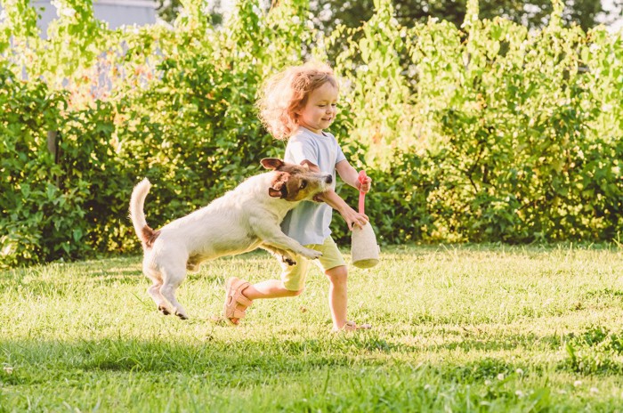 走り出した子供の腕を噛む犬