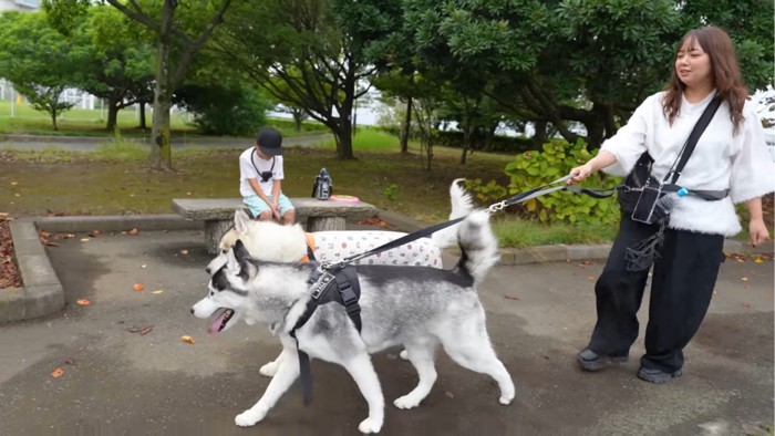 甥っ子さんの前を歩く2匹の犬