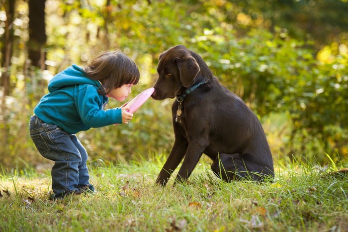 フリスビーを持った子供と犬