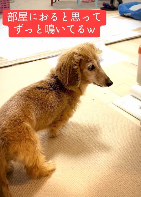 「え？」