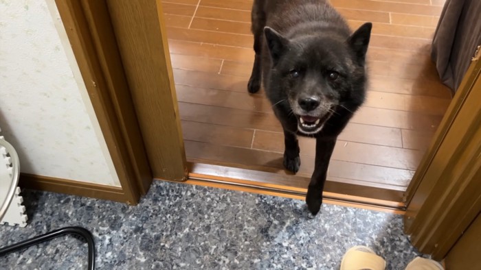 何度も行ったり来たり…