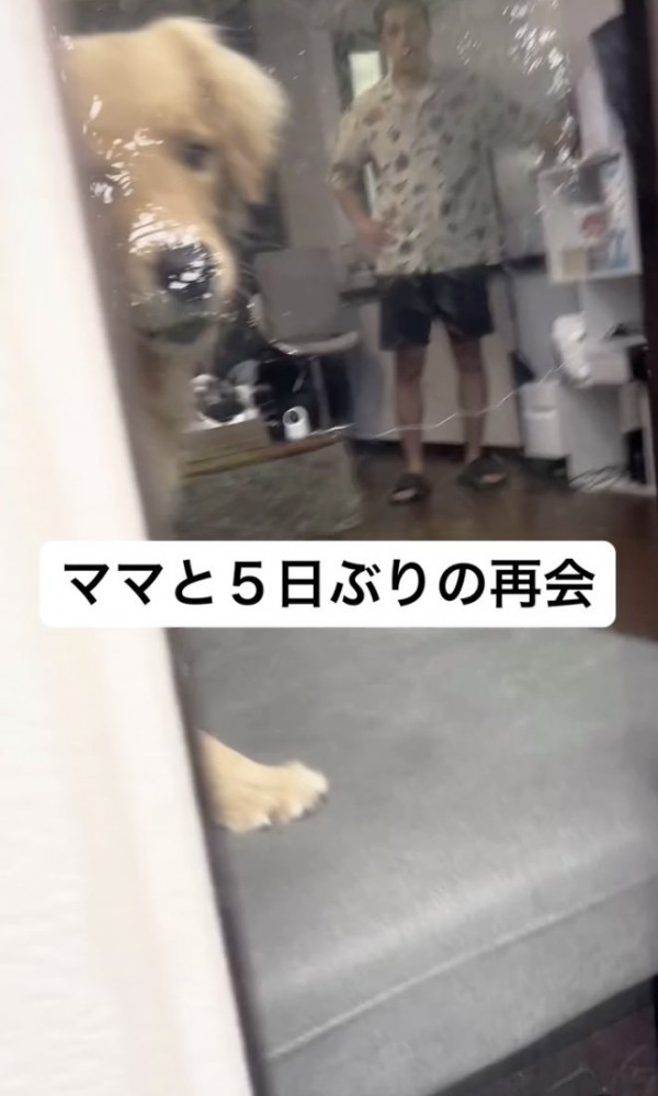 お母さん！？