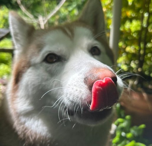 可愛すぎる