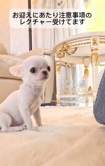 レクチャーを受ける投稿主さん