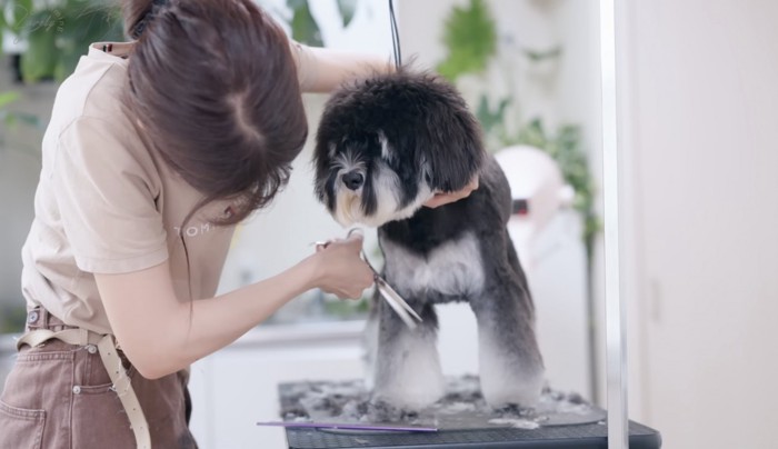 丸いフォルムになってきました