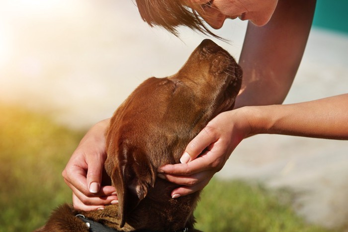 茶の犬と女性