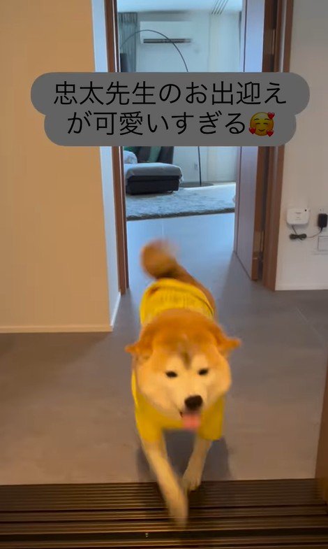 忠太くんの熱烈歓迎4