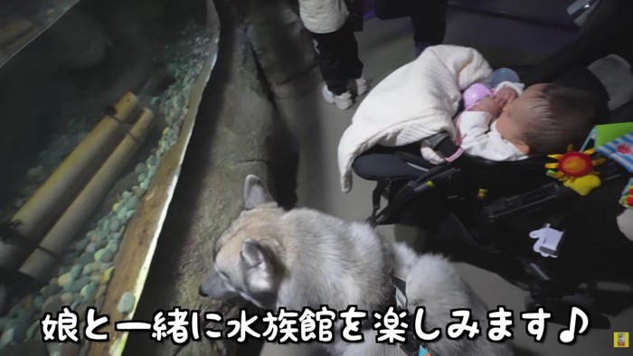 お魚にも興味津々♪