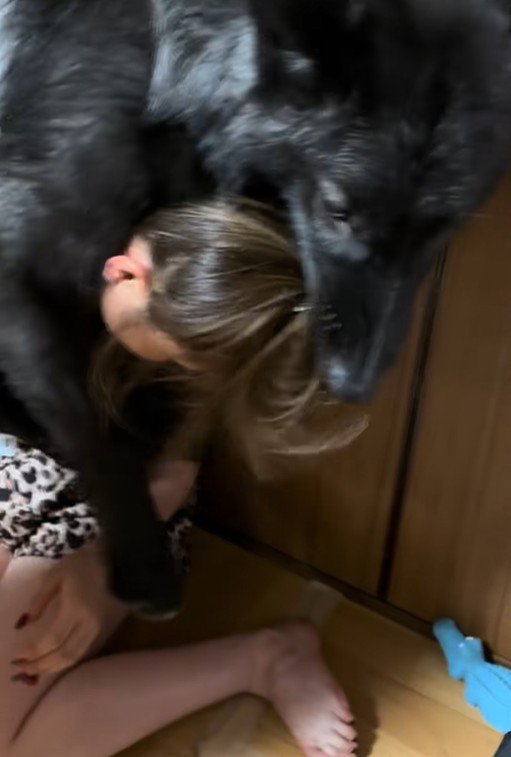 飼い主さんにじゃれるアピスくん