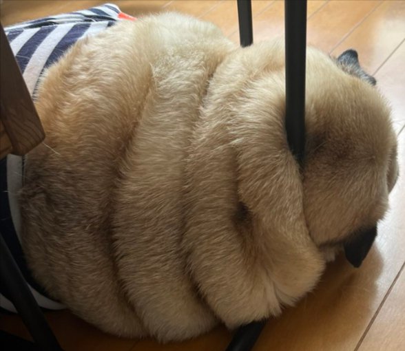 イリュージョン