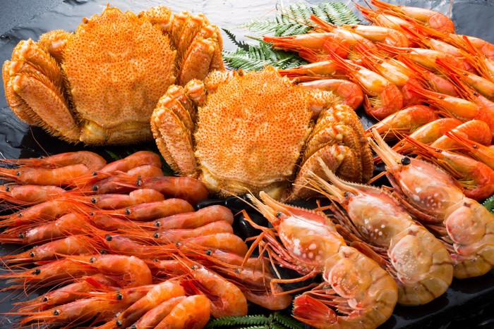 甲殻類のカニとエビが並んでいる様子