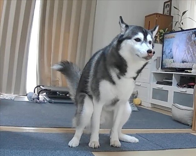 まさかの