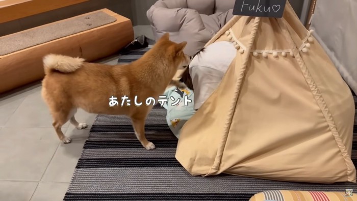 「そこはダメ! ママ早く出て〜」