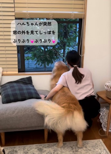 窓の外を眺める犬と人2