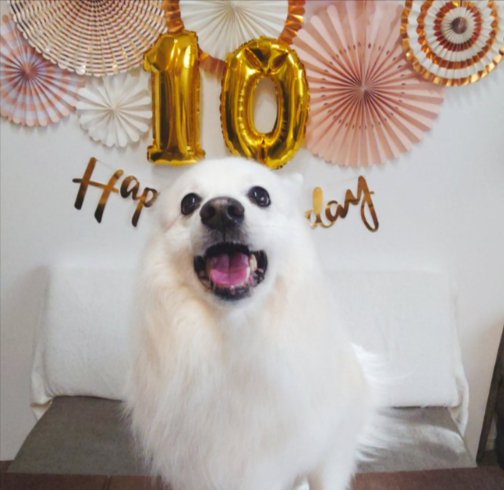 10歳