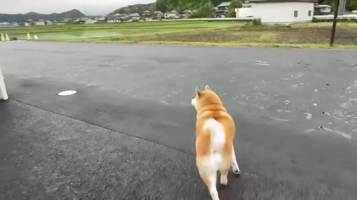 おばあちゃんと再会