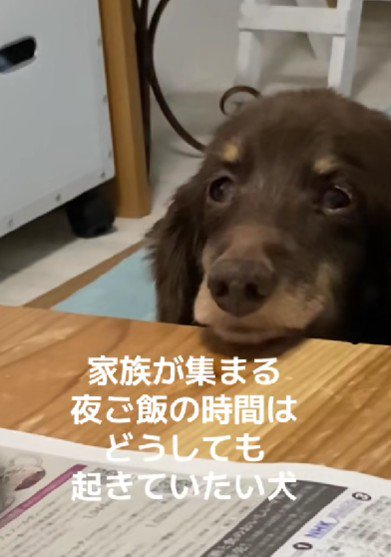 「はっ!」