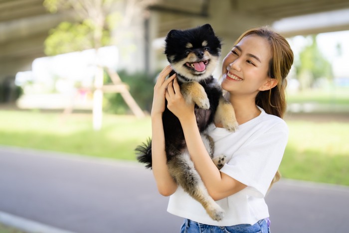 女性に抱き上げられているポメラニアン