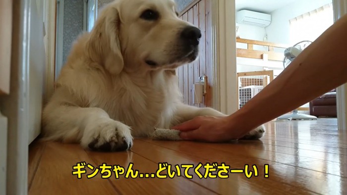 頑なに動きません