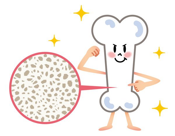 犬に豆乳を与えることで期待できる効果