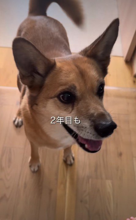 晴れやかな笑顔に感涙