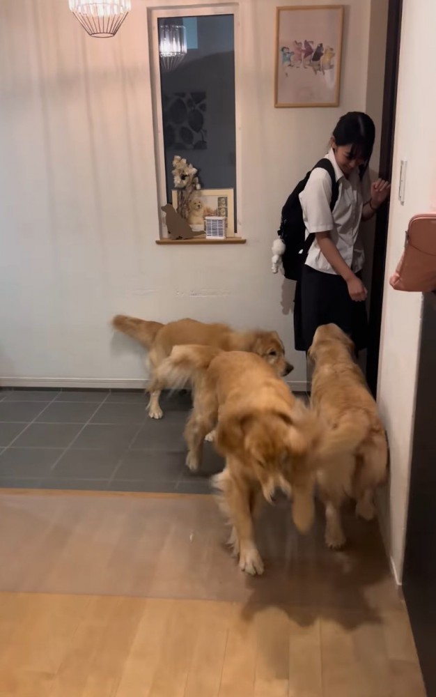 3匹が大集合