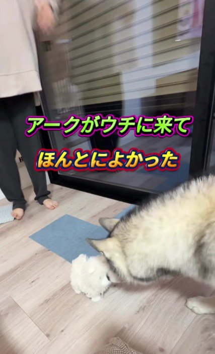 それでも愛おしい…