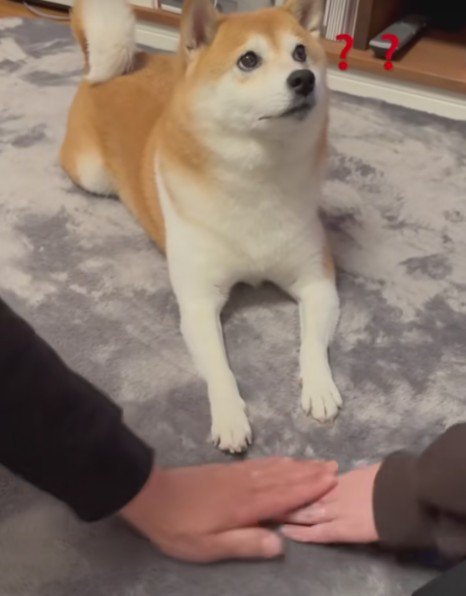 「？」